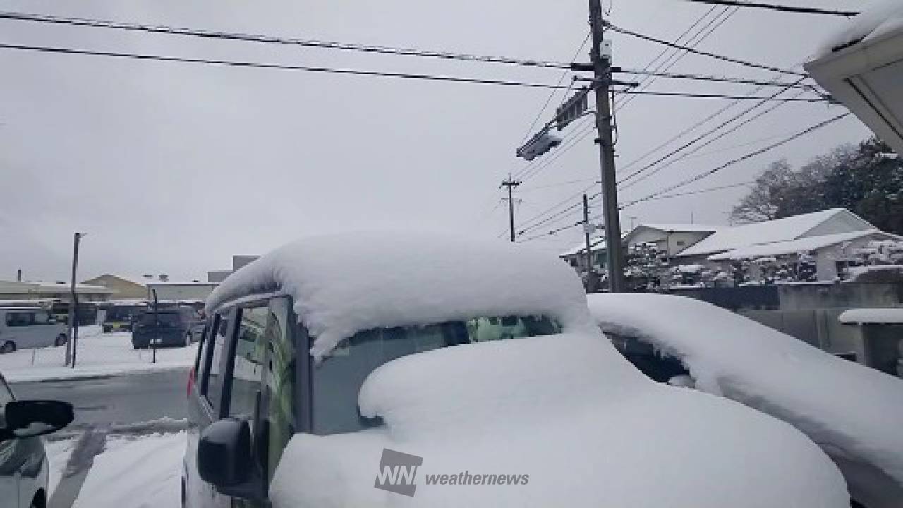 東海の雪の状況 25日 注目の空の写真 ウェザーニュース