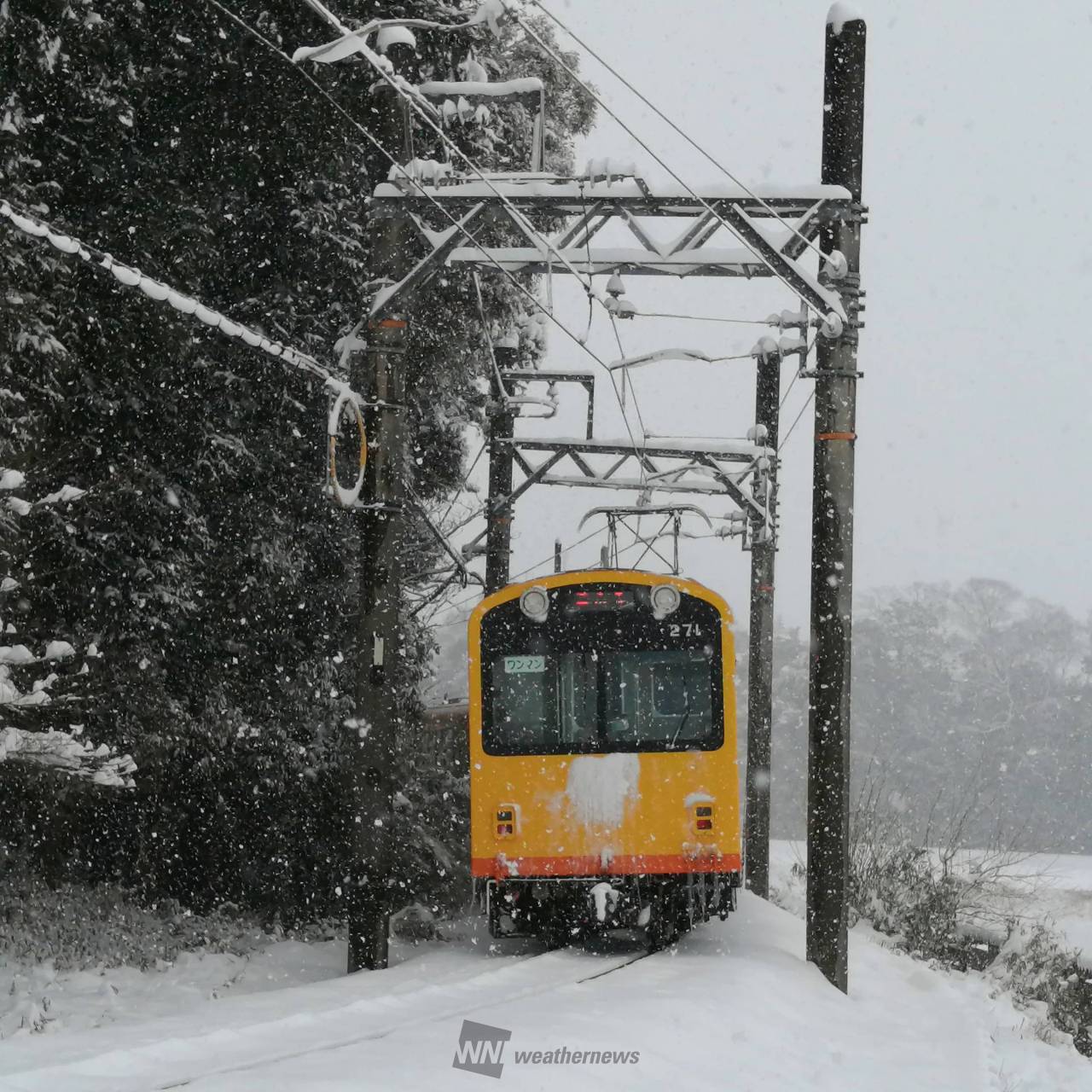 東海の雪の状況 25日 注目の空の写真 ウェザーニュース