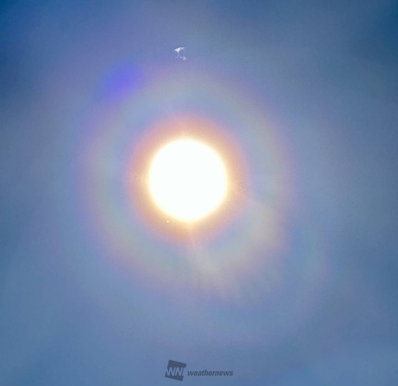今日 の 花粉 東京