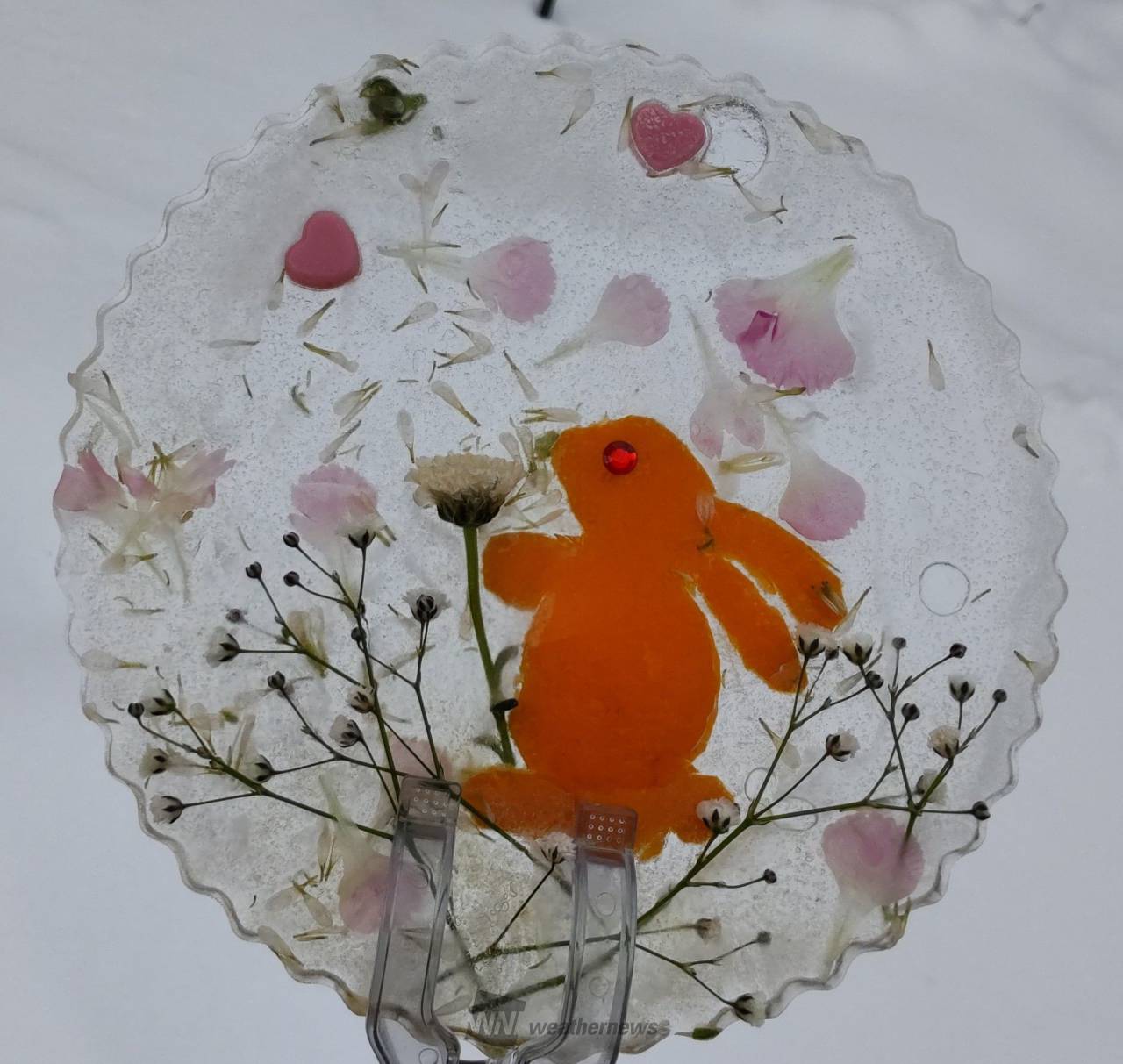 草木・花アート＆氷アート 注目の空の写真 ウェザーニュース