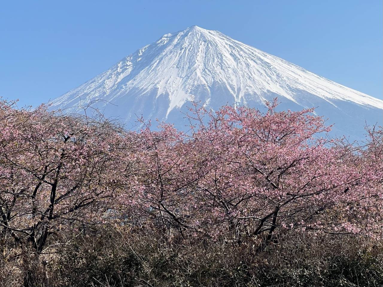 少し霞んだ春の富士山 注目の空の写真 ウェザーニュース