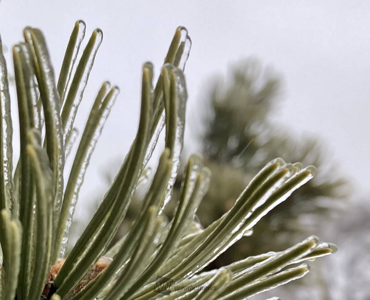 降っているのは霧雨...