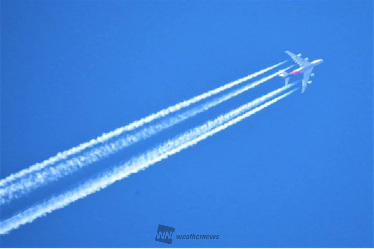 オーダー用生地サンプル   飛行機と雲 オーダー用生地サンプル 飛行機と雲