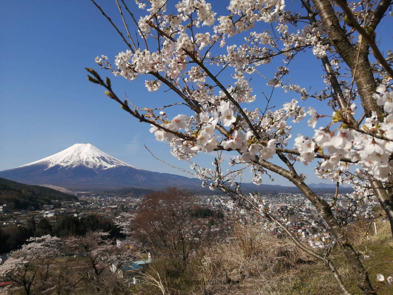 春の富士山 注目の空の写真 ウェザーニュース