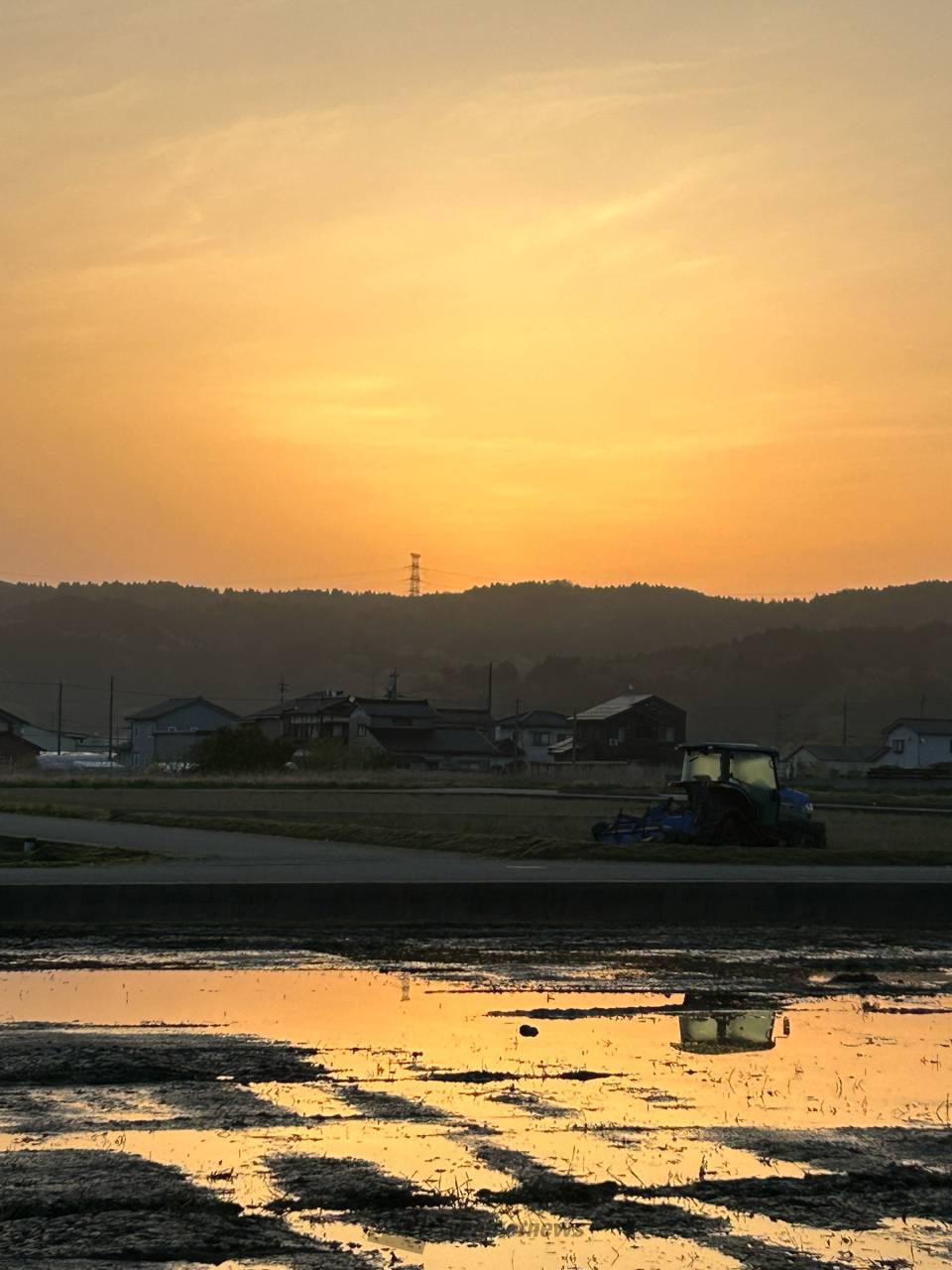 今日の朝焼け・朝日 注目の空の写真 ウェザーニュース