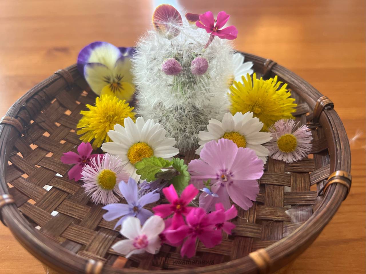 たんぽぽアートに挑戦！ 注目の空の写真 ウェザーニュース