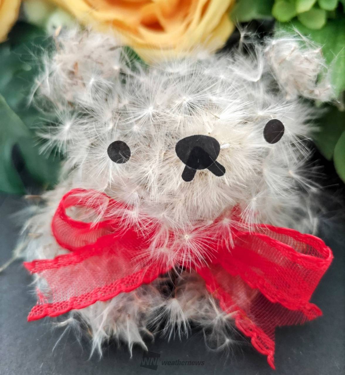 たんぽぽアートに挑戦！ 注目の空の写真 ウェザーニュース