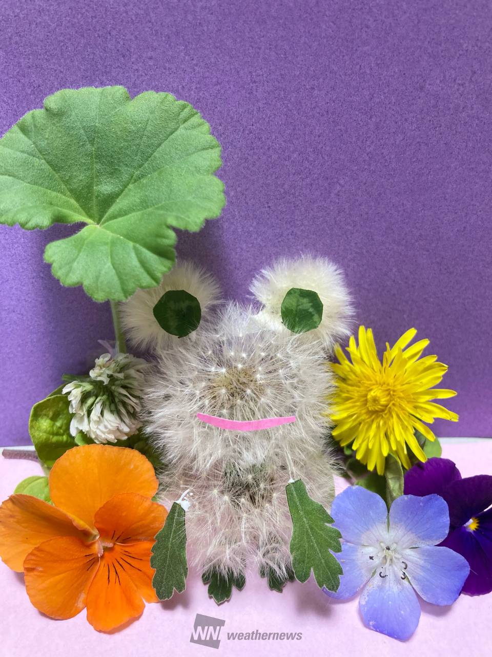 たんぽぽアートに挑戦！ 注目の空の写真 ウェザーニュース