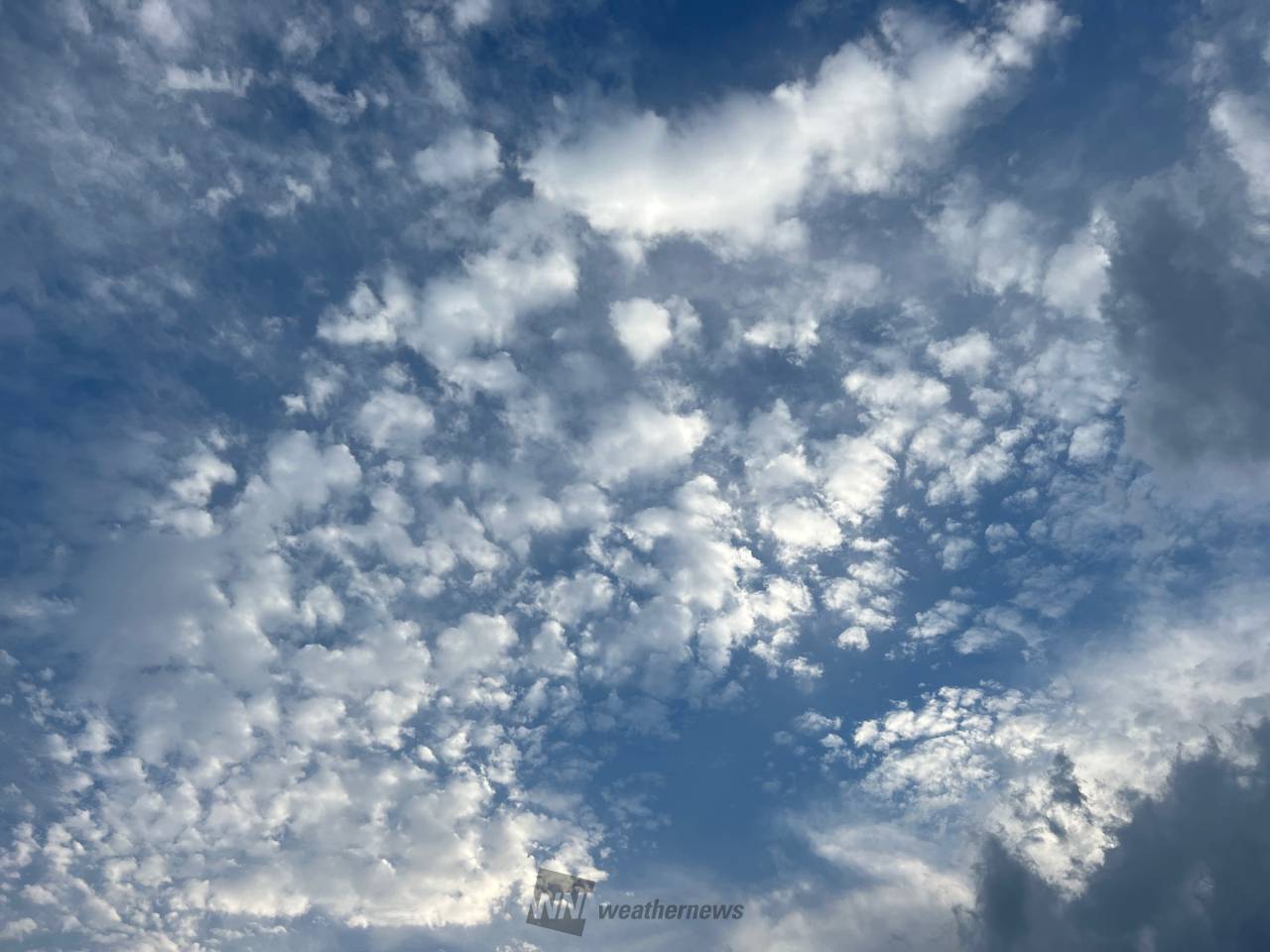 羊のような雲 注目の空の写真 ウェザーニュース