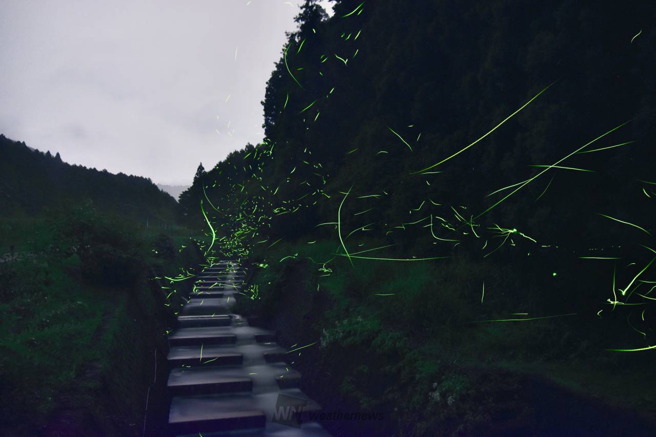 ほたる絶景写真館 注目の空の写真 ウェザーニュース