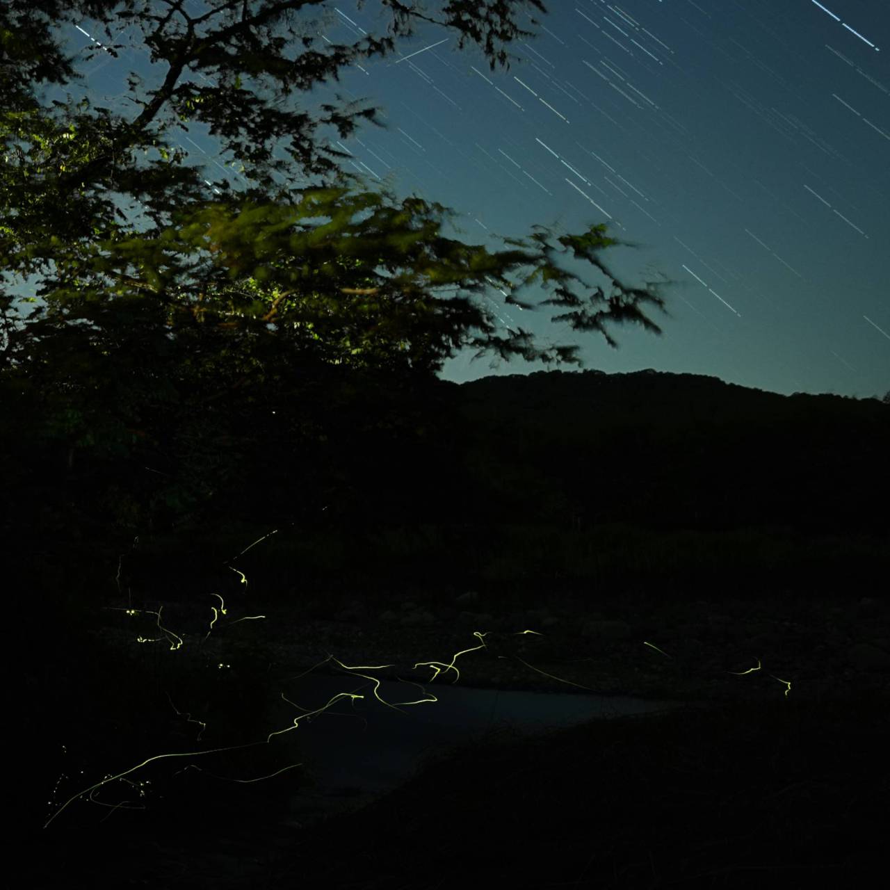 ほたる絶景写真館 注目の空の写真 ウェザーニュース