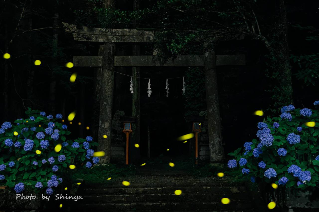 ほたる絶景写真館 注目の空の写真 ウェザーニュース