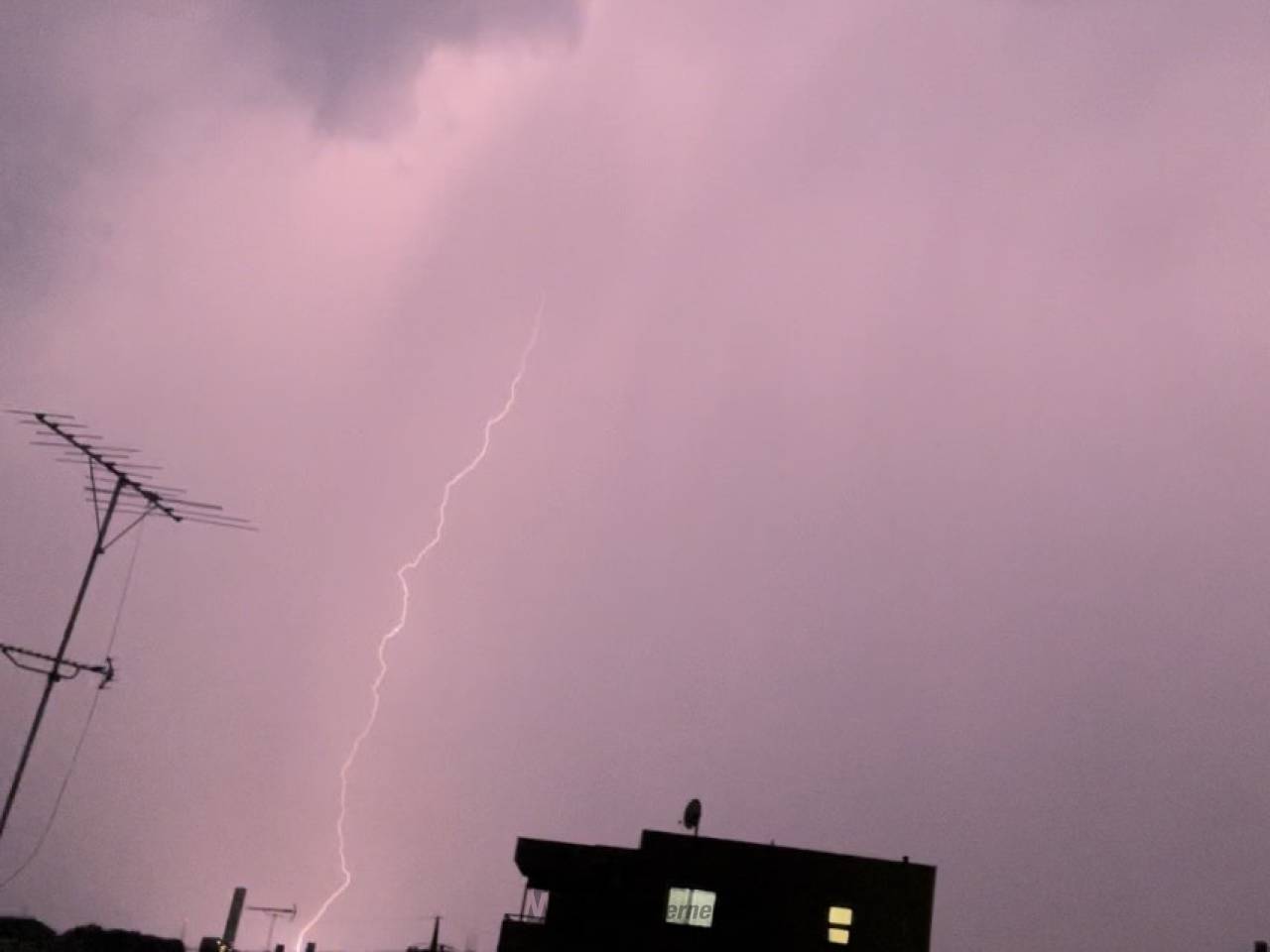 方位270西 雷が真横を通過している感じ | 東京都府中市 | 山苔