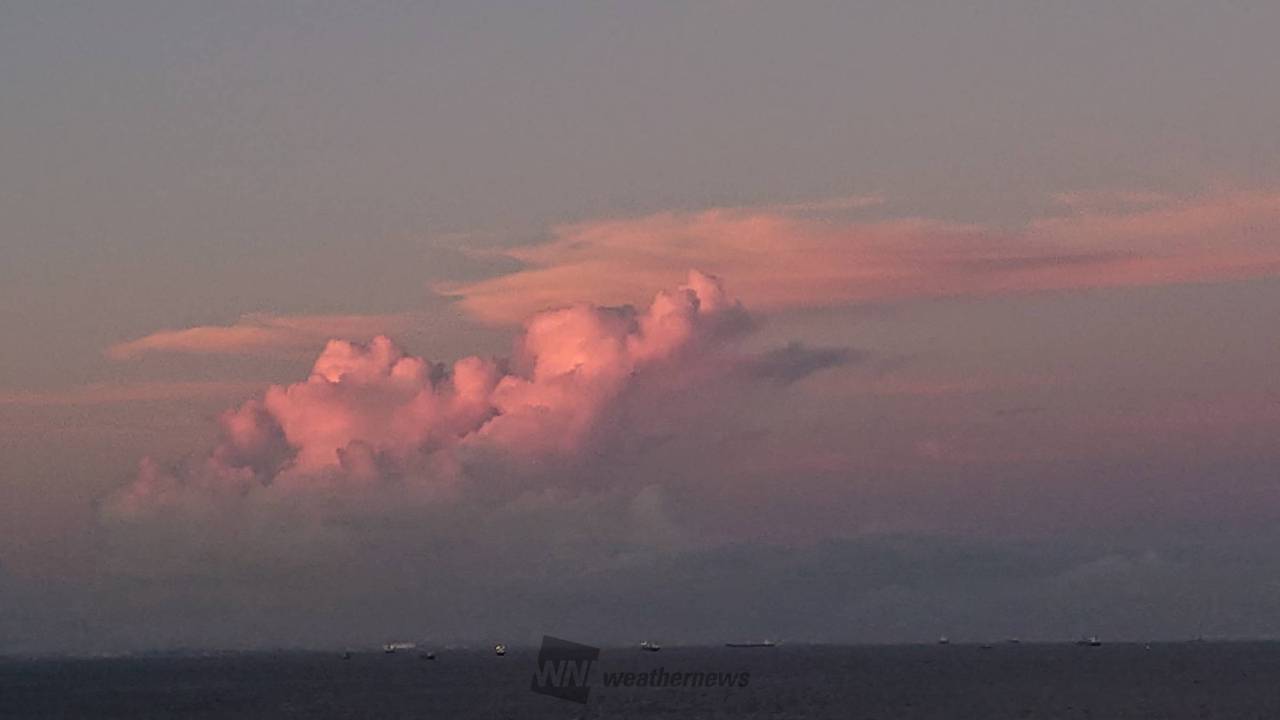 桃色の雲◆高品質✧ブラックオパールピアス✧14kgf 特集掲載】ガラスの食べごろ♡桃ピアス（イヤリング） 桃 ピーチ