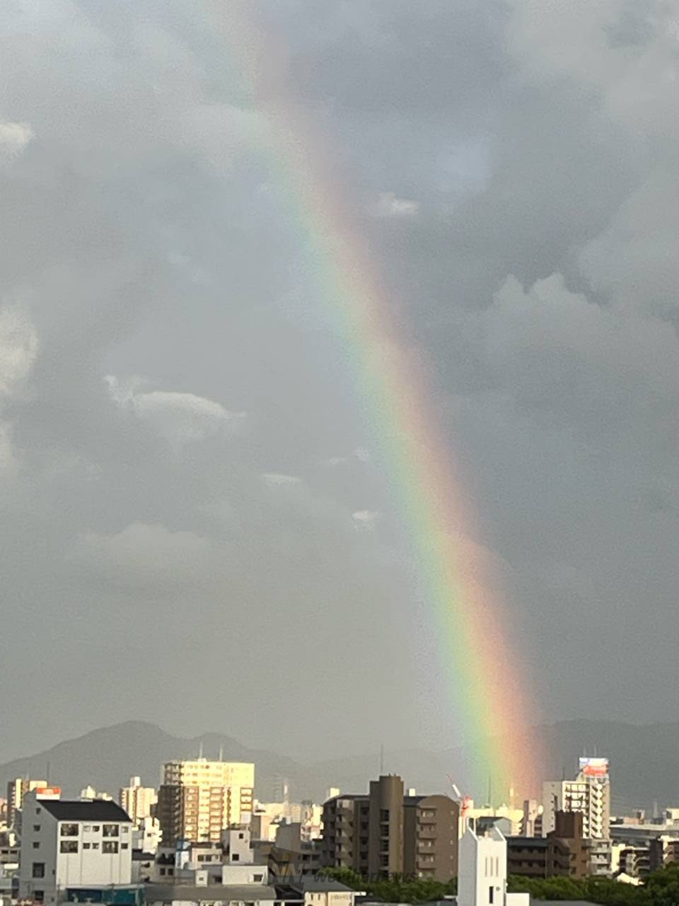 雨上がりに虹が出現 注目の空の写真 ウェザーニュース