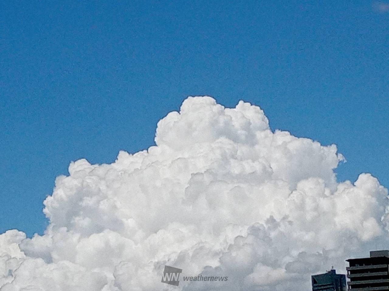 怪しい雲を発見 注目の空の写真 ウェザーニュース