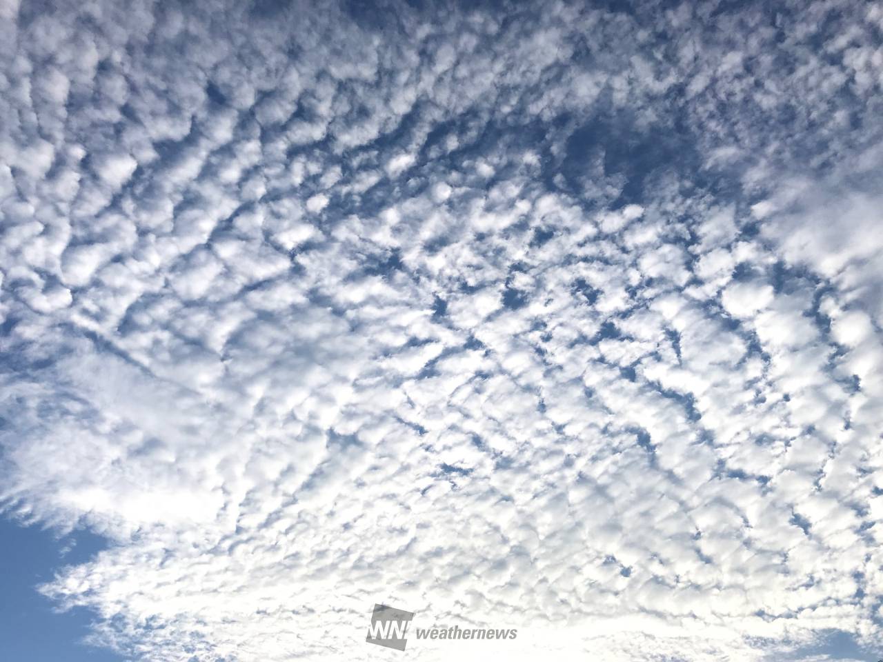 夏の雲と秋の雲が同居 注目の空の写真 ウェザーニュース