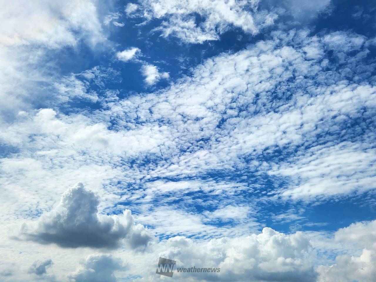 夏の雲と秋の雲が同居 注目の空の写真 ウェザーニュース