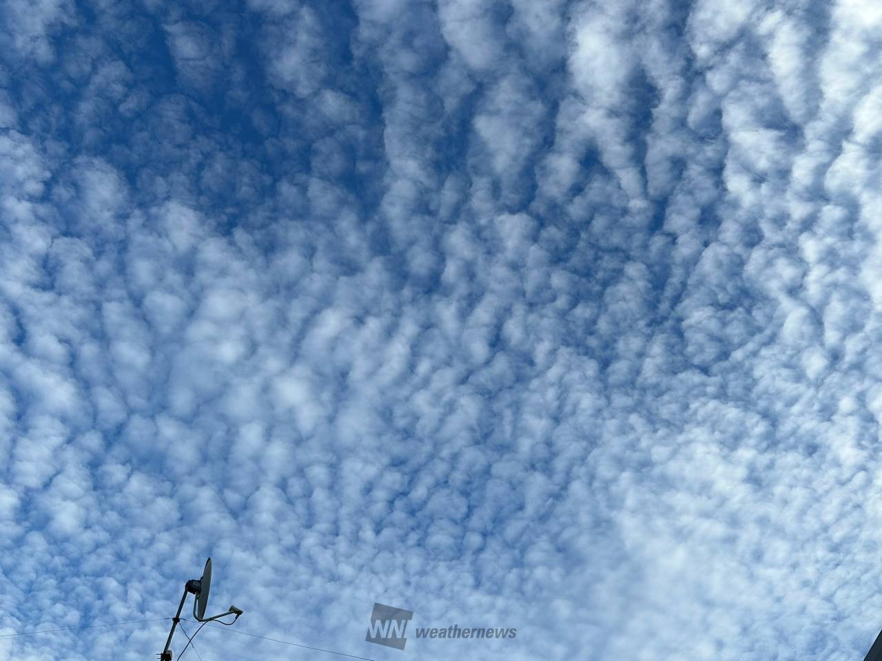 空には秋の雲 注目の空の写真 ウェザーニュース