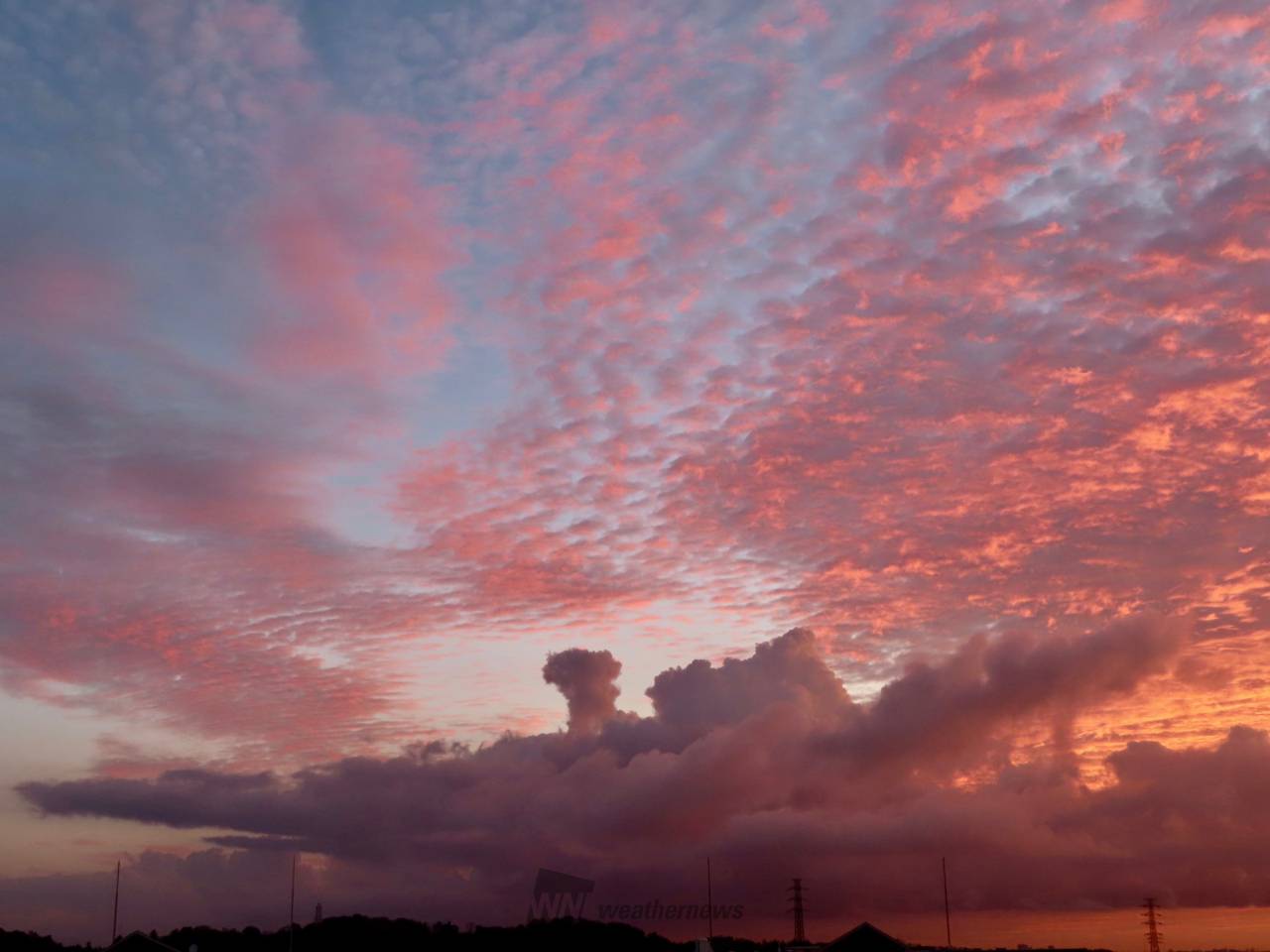 朝焼けに染まるうろこ雲 注目の空の写真 ウェザーニュース