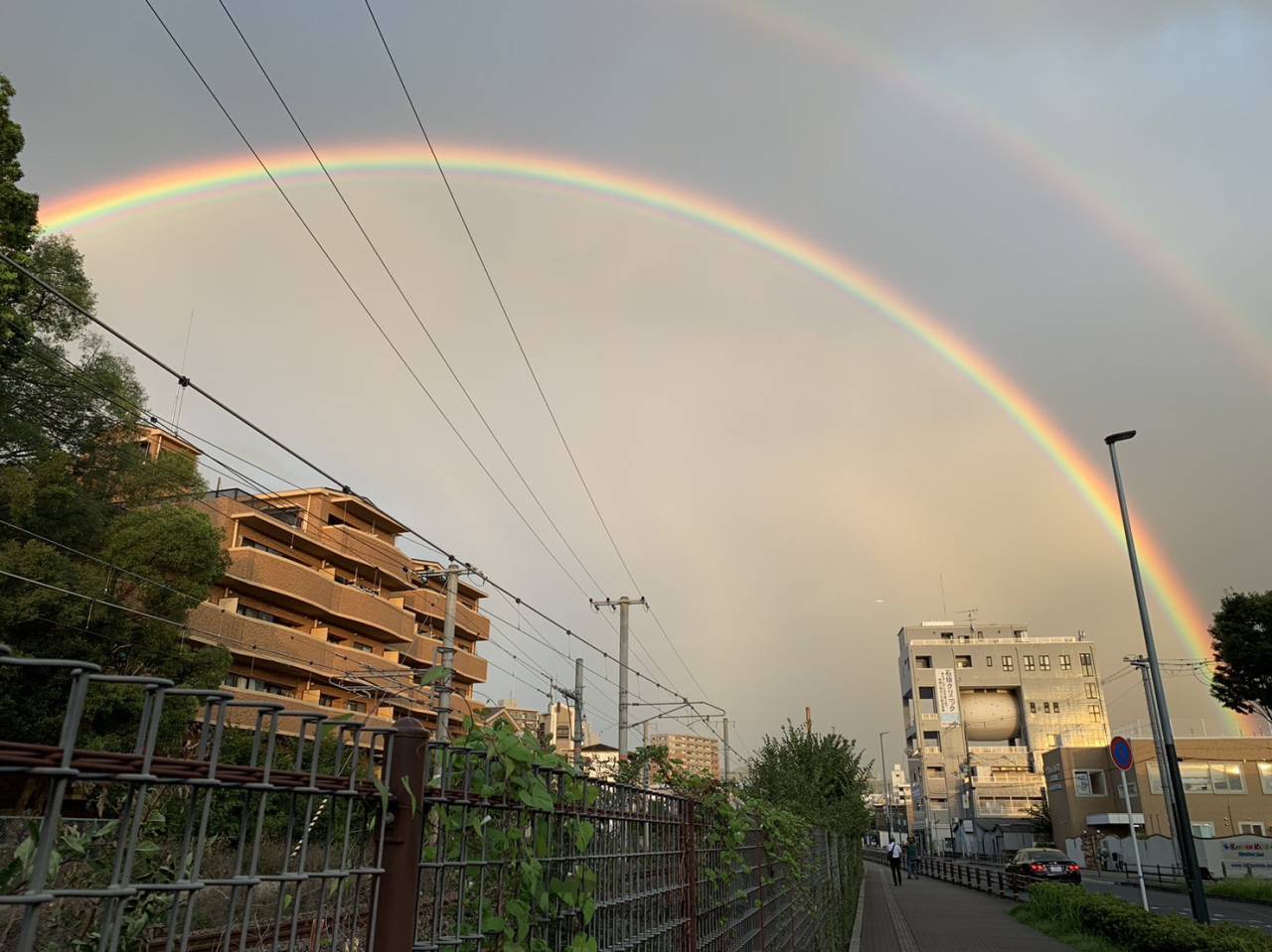 雨上がりの虹 注目の空の写真 ウェザーニュース
