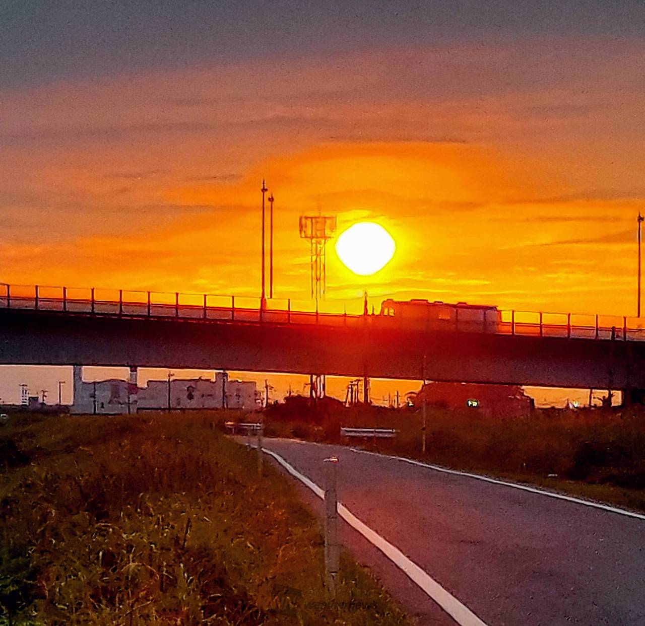 夕焼け鳥の休息 俺の陶芸の先生 相澤真夕先生のpop upへ行ってきたら、ガオレッドを