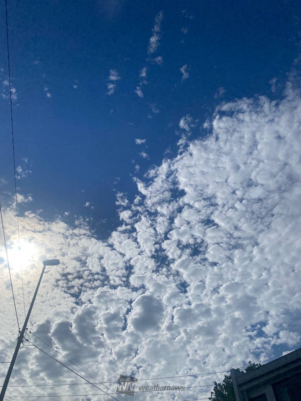 貴重な青空／ 注目の空の写真 ウェザーニュース