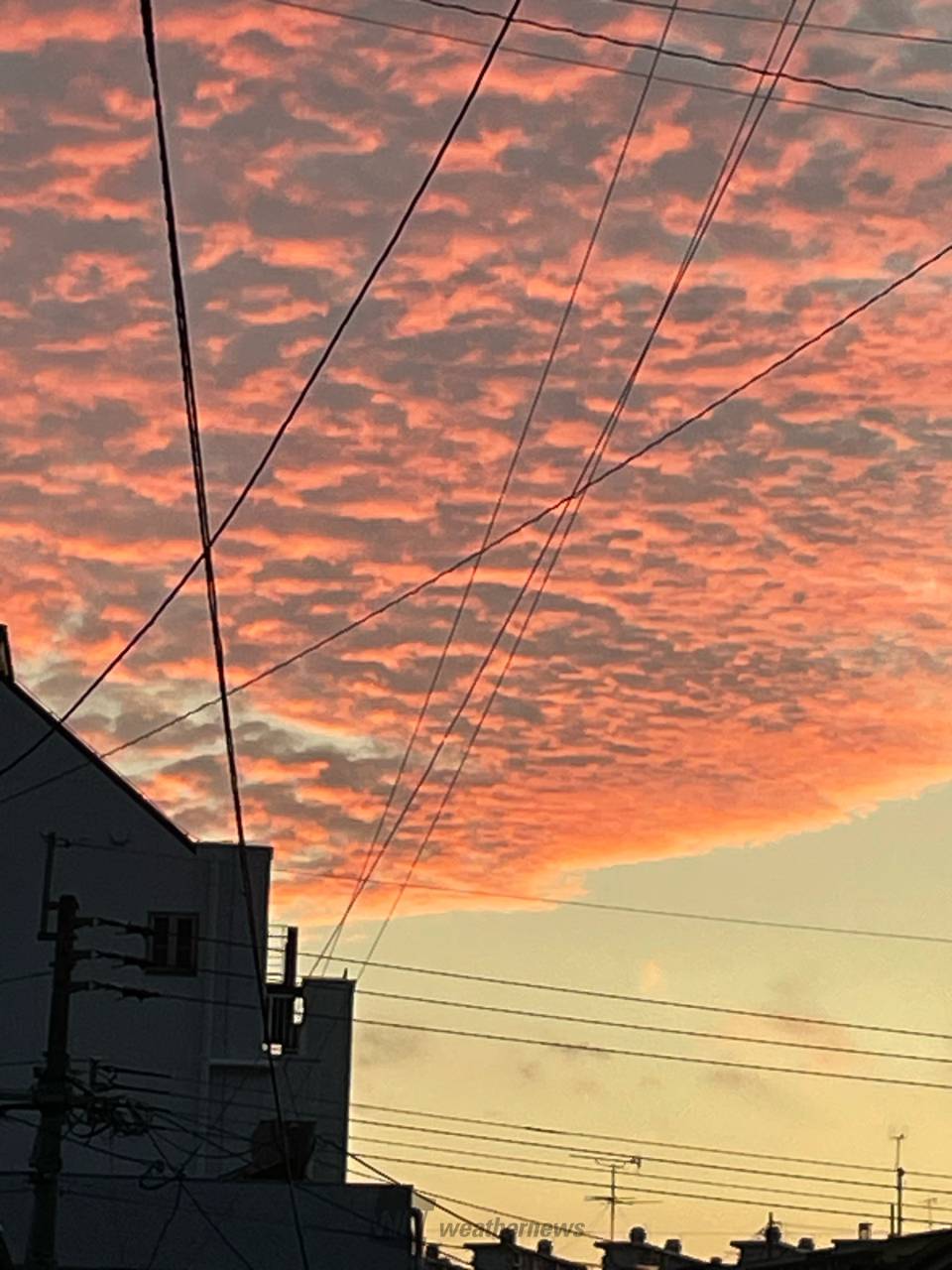 本日の夕焼け 注目の空の写真 ウェザーニュース