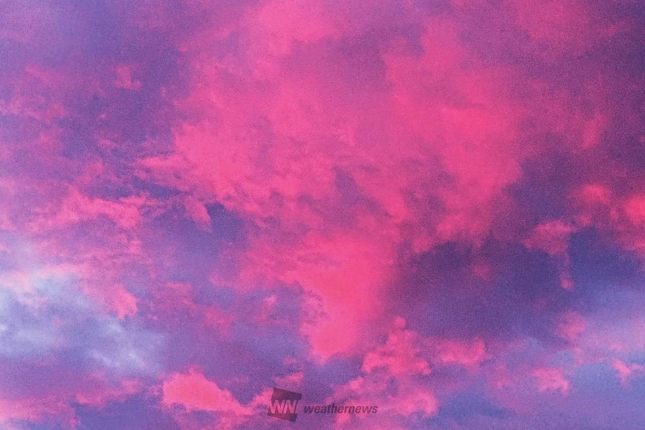 桃色の雲ページ 美しい朝空 注目の空の写真 ウェザーニュース