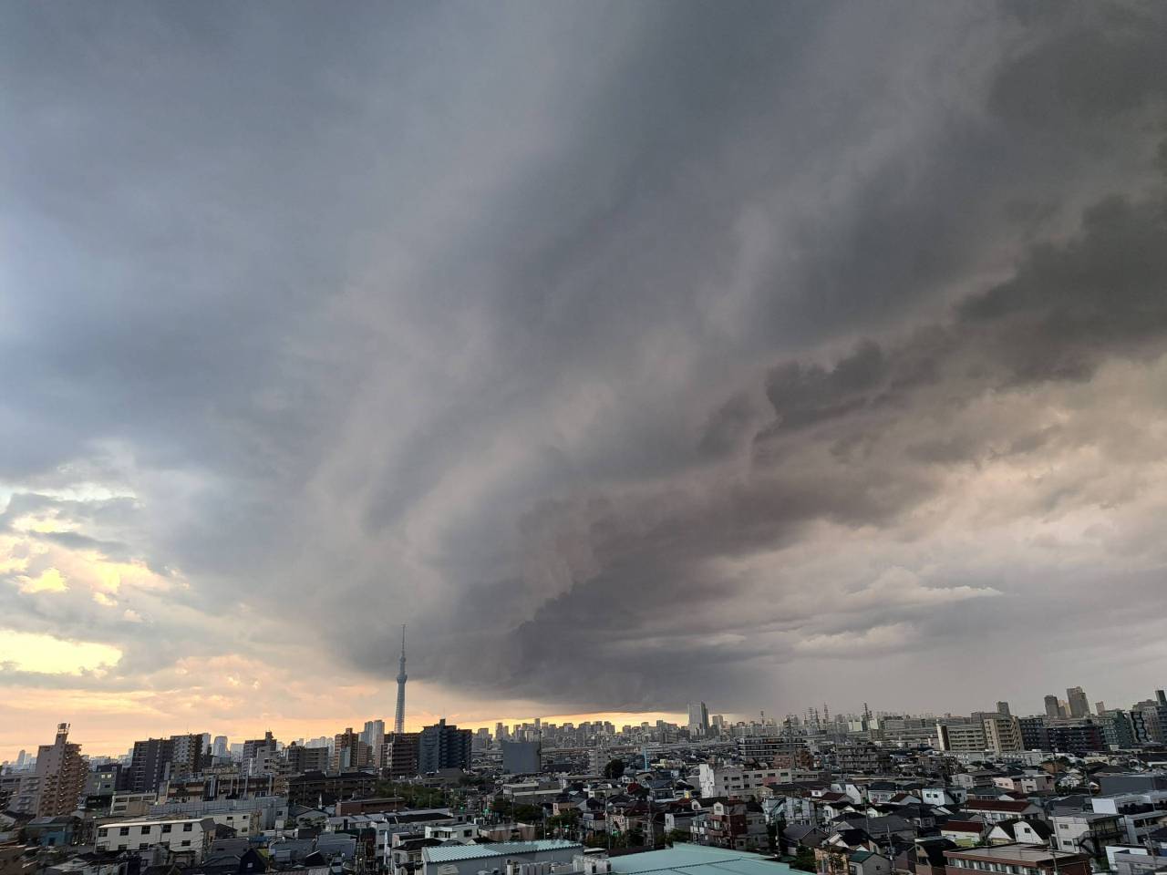 76792552.jpg