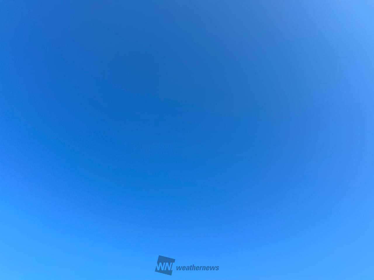 76841279.jpg