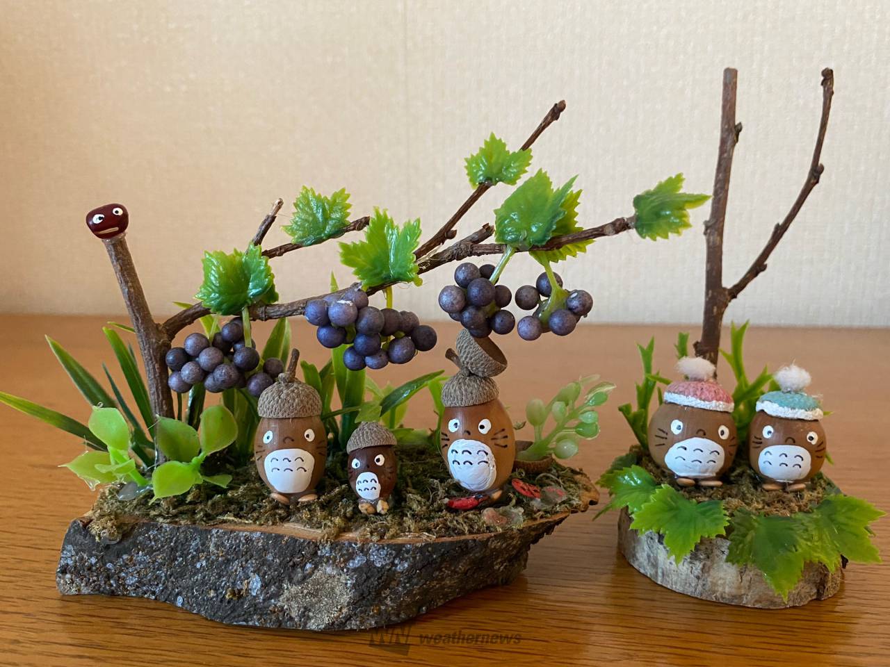 どんぐり見つけた 注目の空の写真 ウェザーニュース