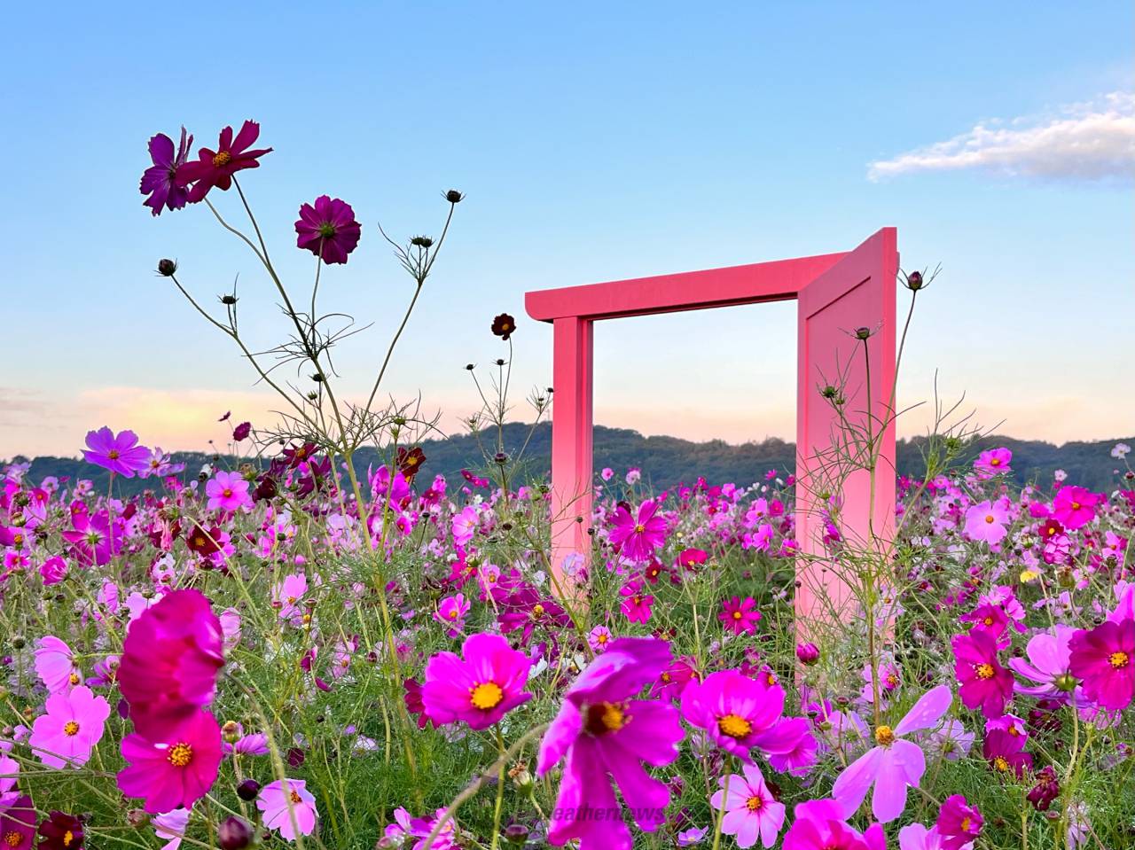 16日の絶景写真 注目の空の写真 ウェザーニュース