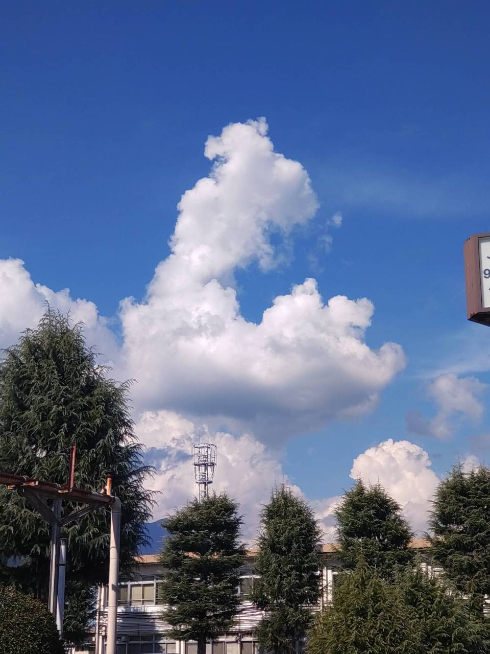 秋の雲画廊 注目の空の写真 ウェザーニュース
