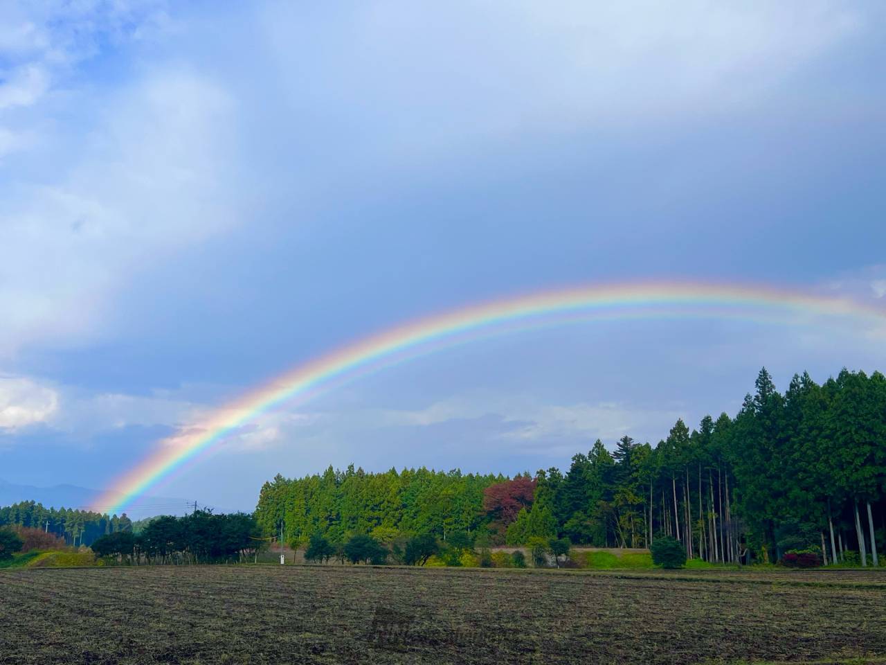 虹が出現 注目の空の写真 ウェザーニュース