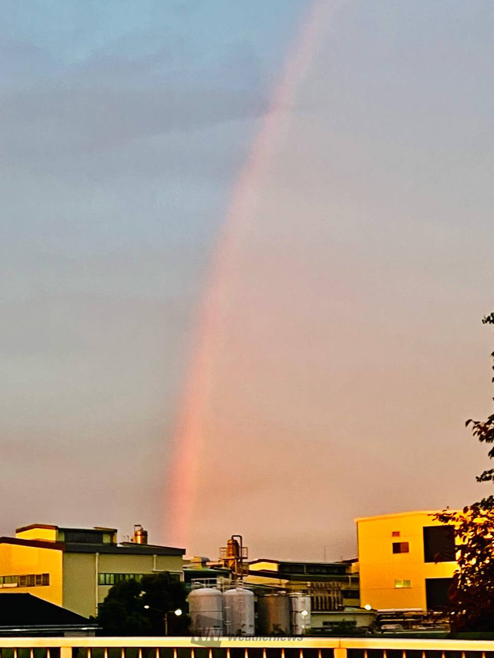 虹が出現 注目の空の写真 ウェザーニュース