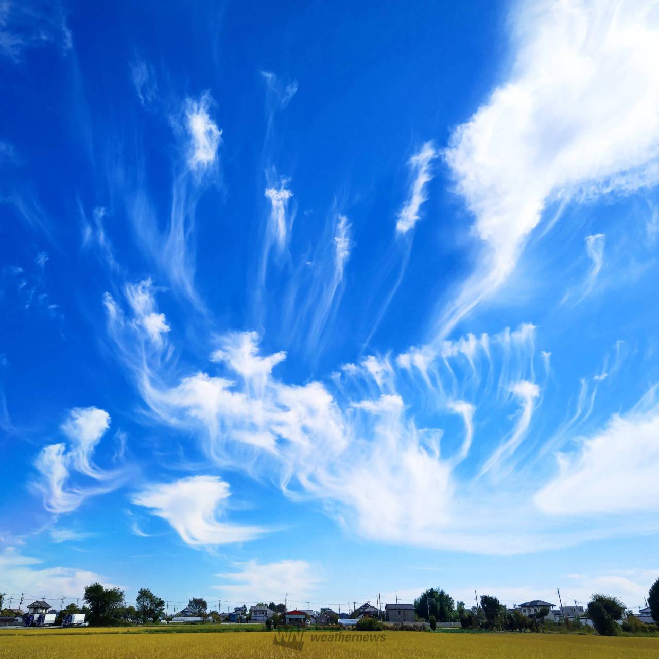 この雲の名前は？ 注目の空の写真 ウェザーニュース
