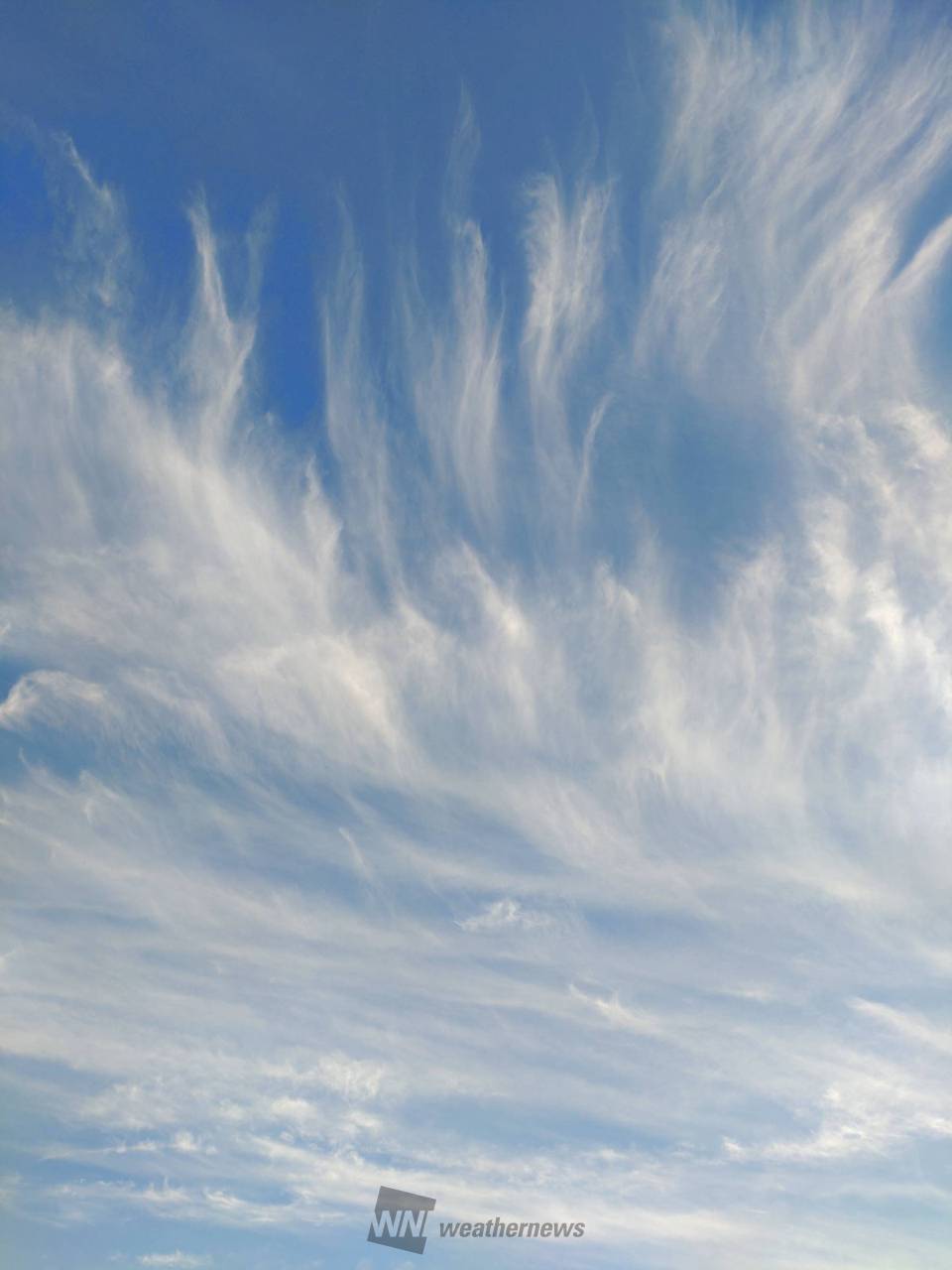 この雲の名前は？ 注目の空の写真 ウェザーニュース