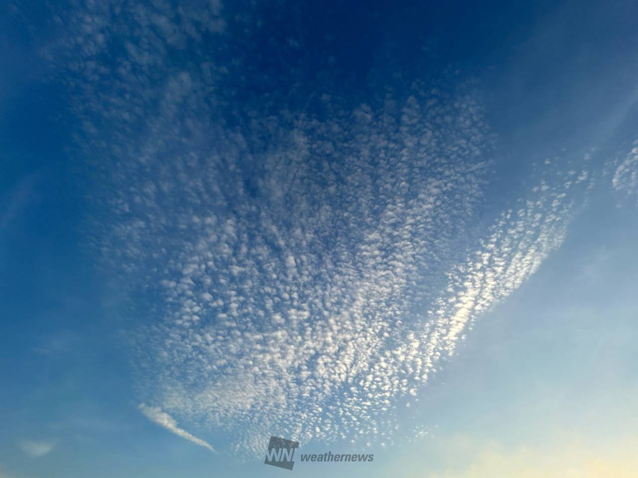 雲の高さや形に注目 注目の空の写真 ウェザーニュース