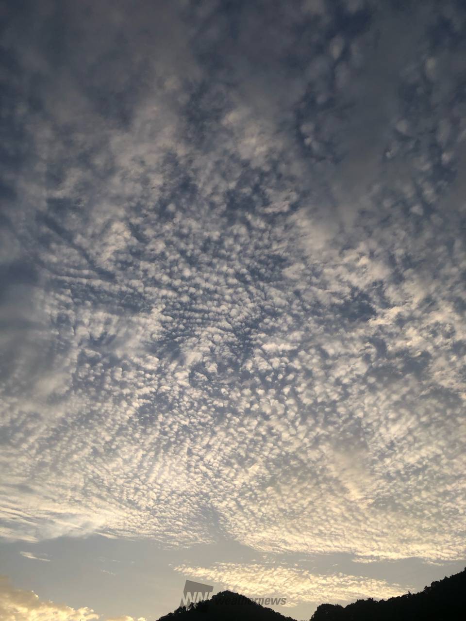 雲の高さや形に注目 注目の空の写真 ウェザーニュース
