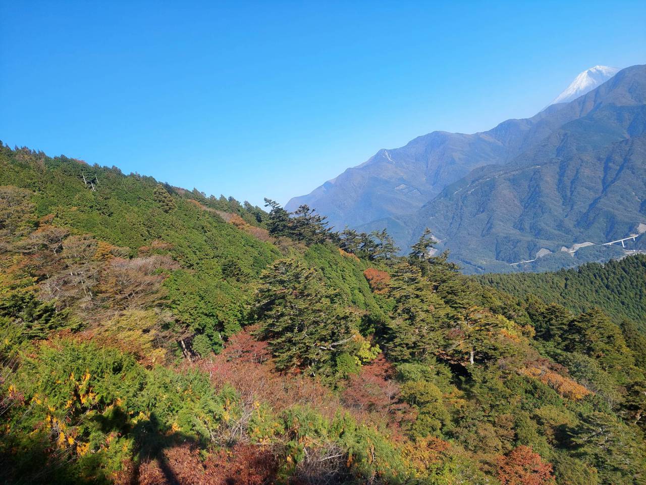 身延山の頂上付近は...