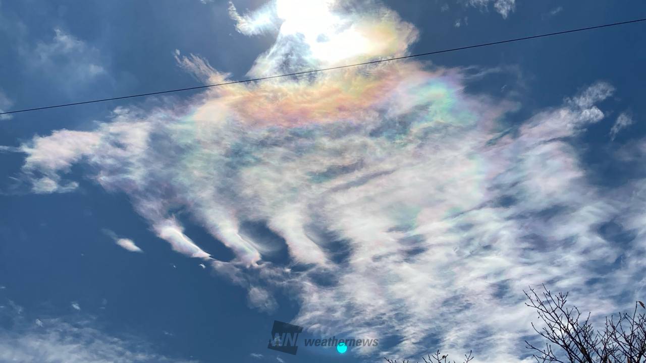 雲彩親株 栗山園オンライン通販部 / 【出物】 高取茶入 14代亀井味楽 鵬雲斎書付