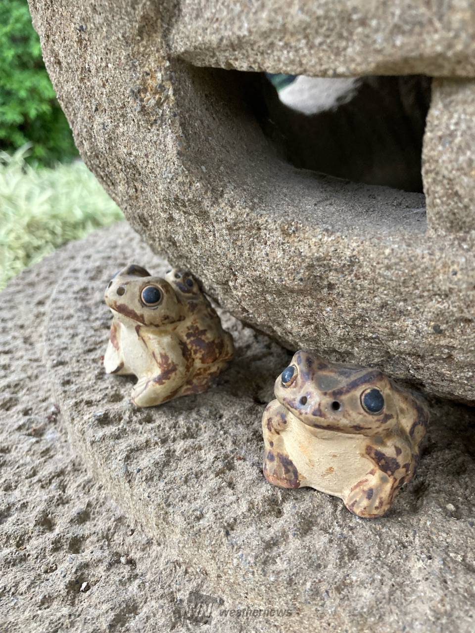 卯様　4カエルさん 灯籠に住んでいる❓カエルさん🐸🐸🐸 | 埼玉県川口市 | ぽちゃっこ