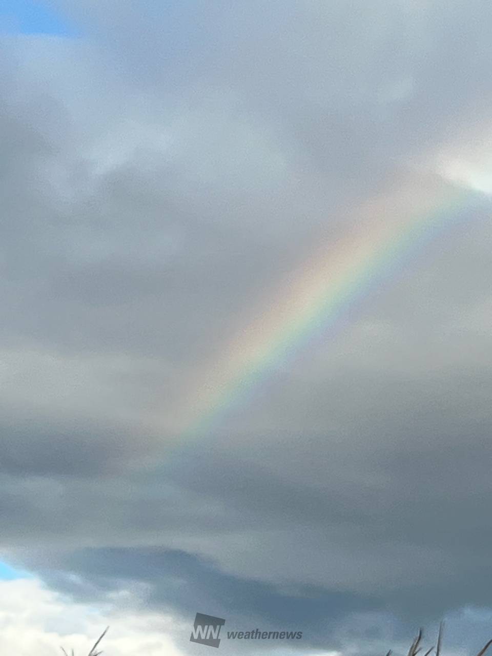 空に虹が🌈 注目の空の写真 ウェザーニュース