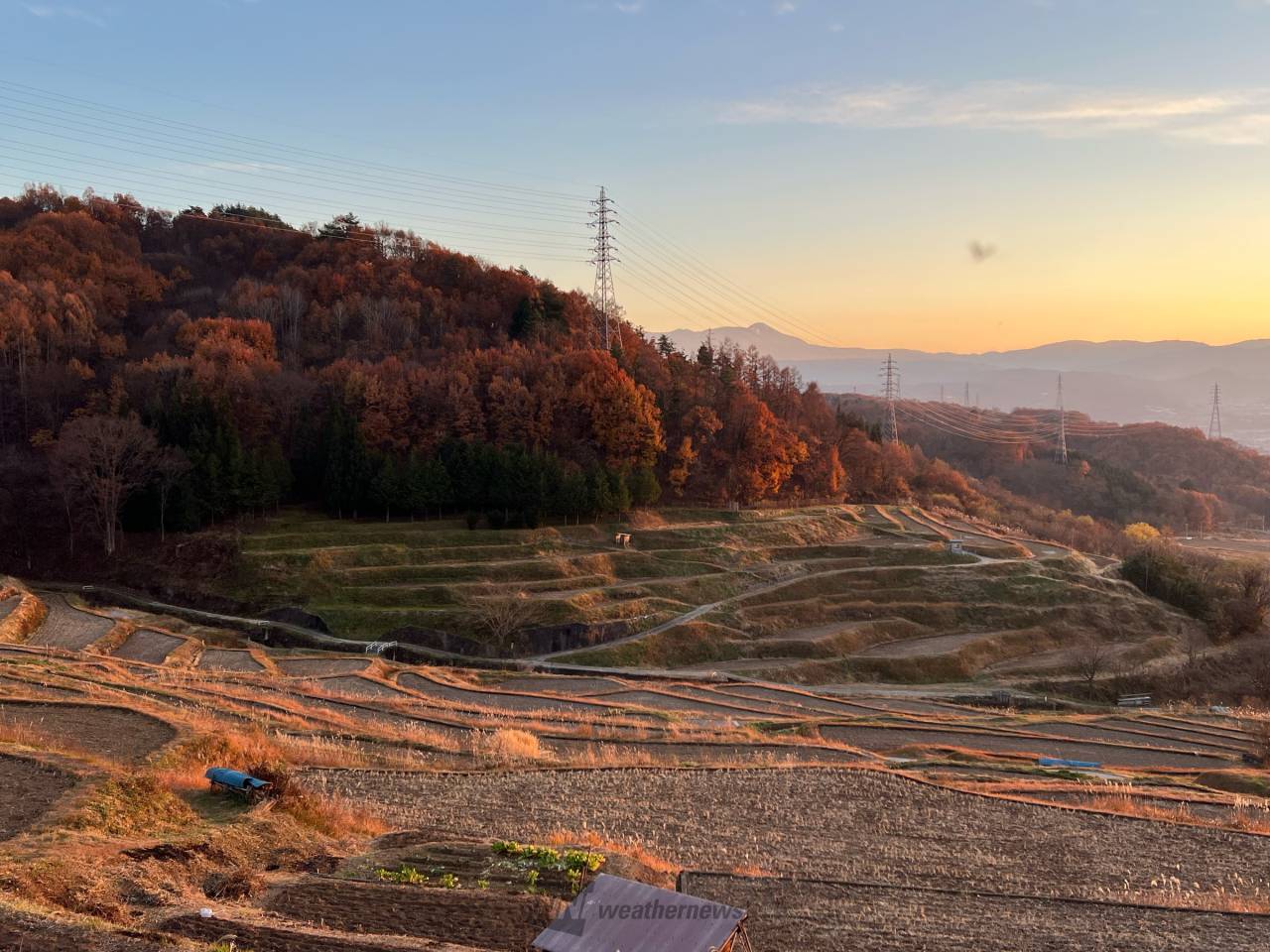 四季折々の棚田 注目の空の写真 ウェザーニュース