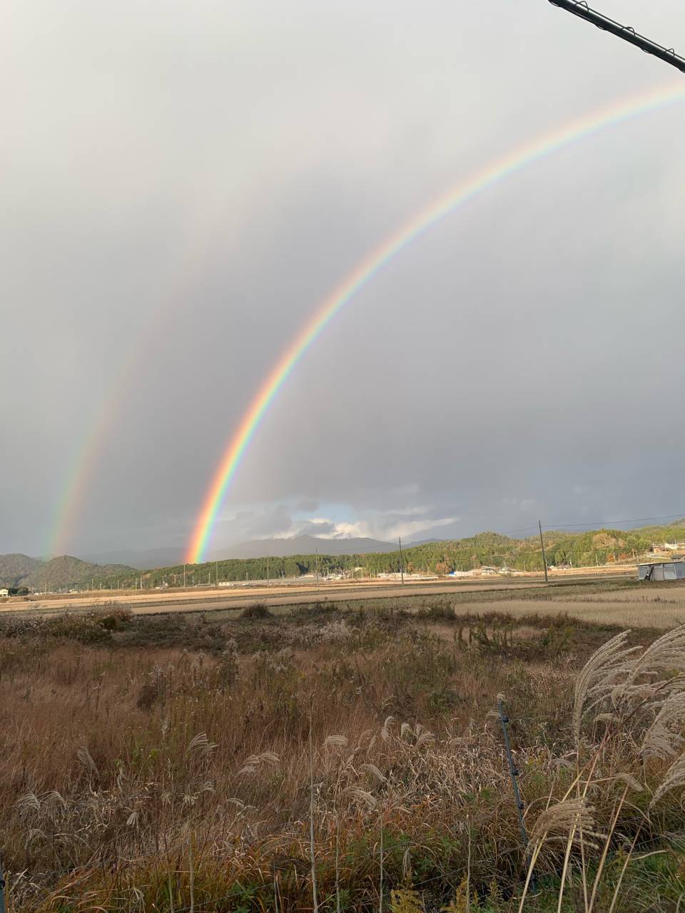 ダブルレインボー出現 注目の空の写真 ウェザーニュース