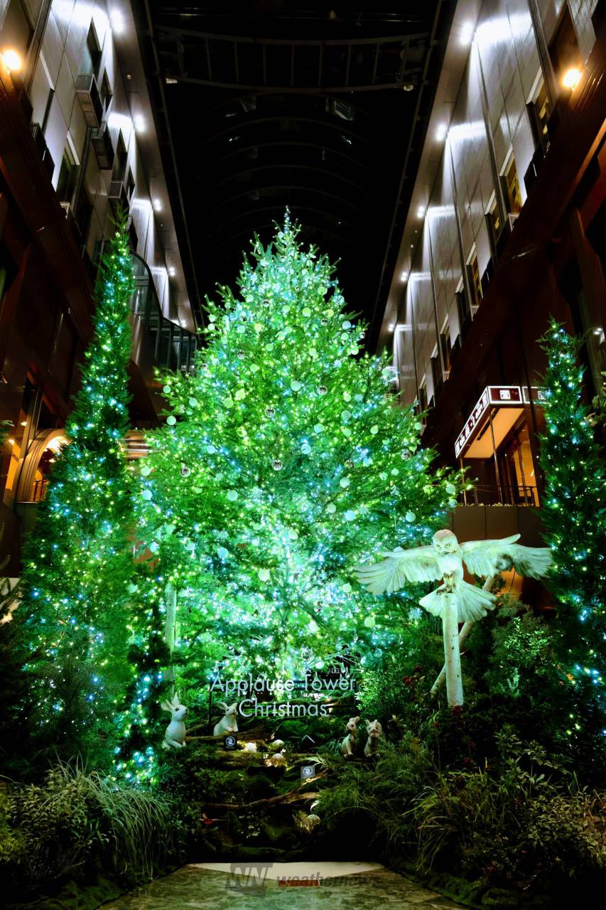 茶屋町アプローズタワー内にあるクリスマス | 大阪府池田市 | あらや