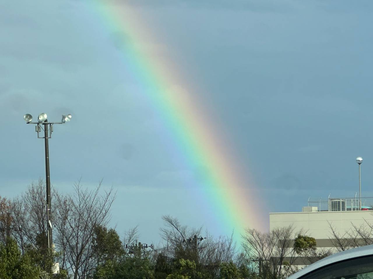 虹が出現！ 注目の空の写真 ウェザーニュース