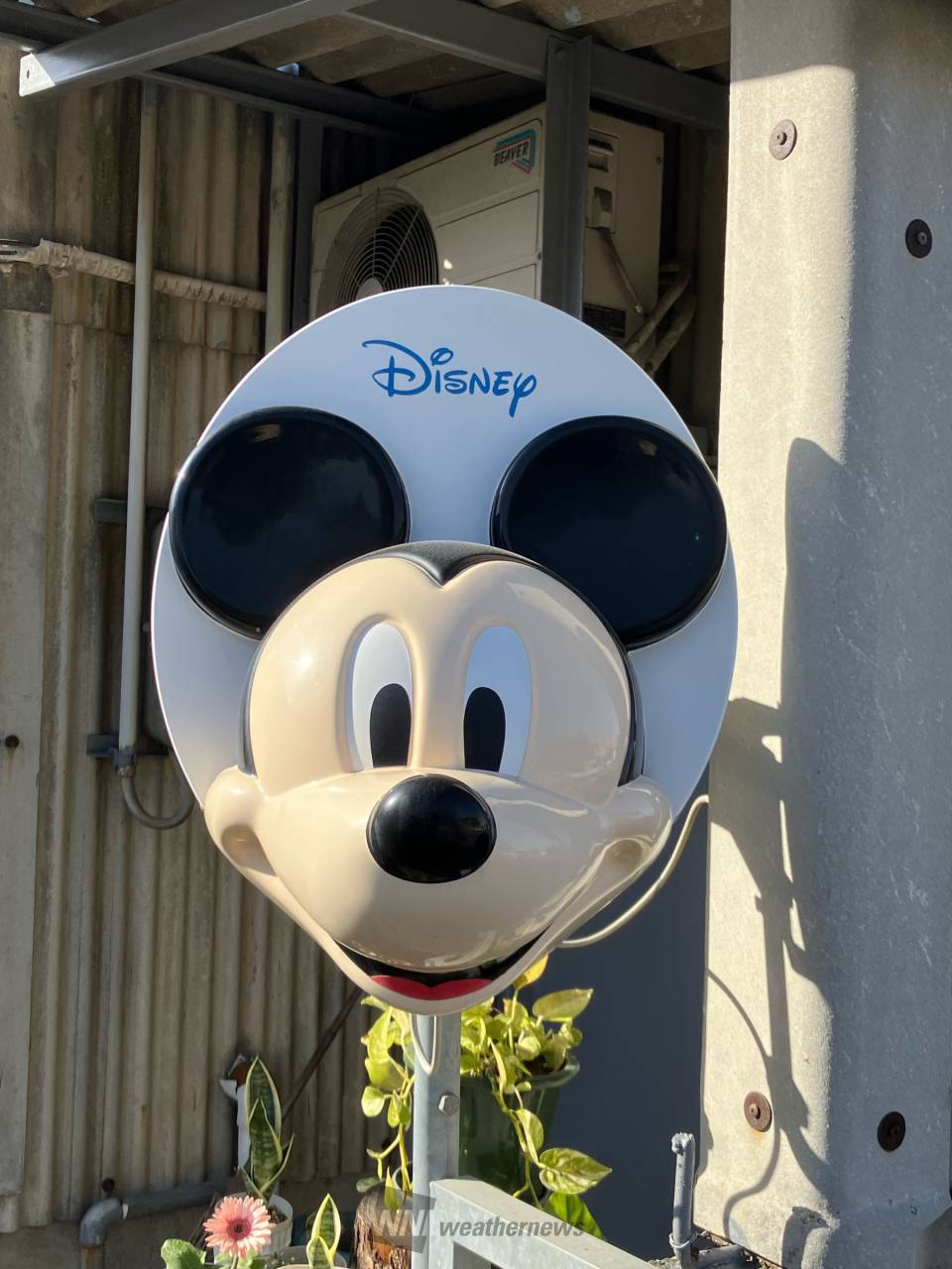 ウェザー ニュース ディズニー