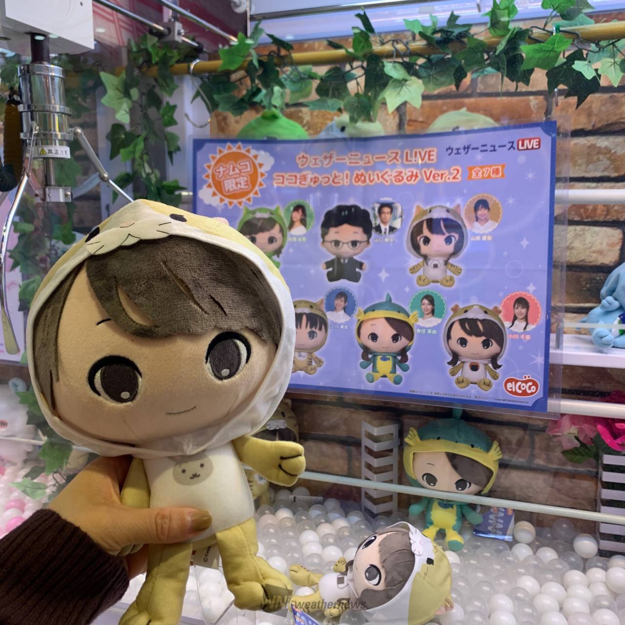 ココぎゅっと！ぬいぐるみ 大好きな推しの | 千葉県八千代市 | Ms.いも 